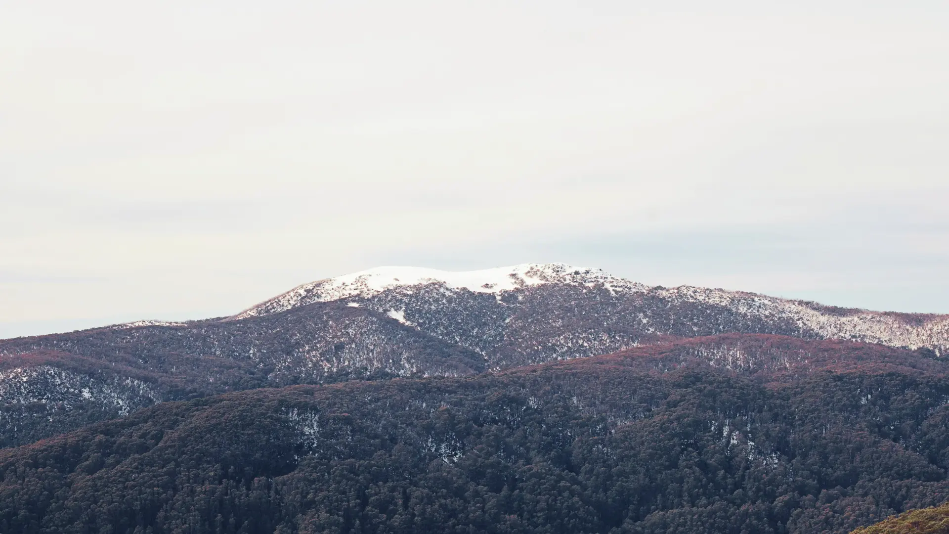 Mount Buller Tour - View 2 - Melbourne private tour