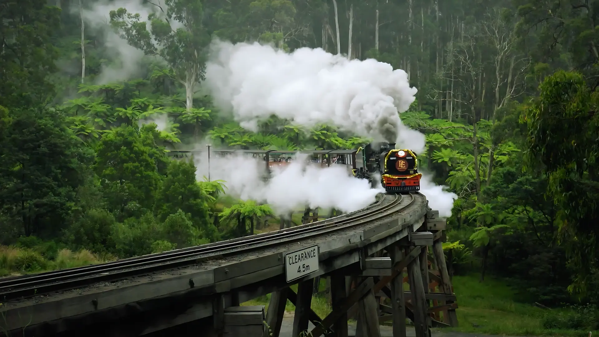 Puffing Billy Tour - Melbourne private tour experience