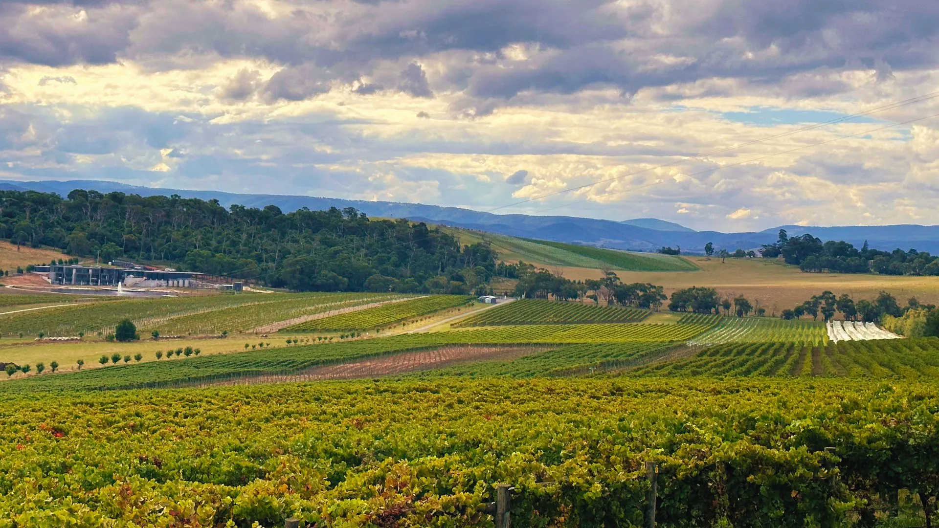 Yarra Valley Wine Tour - View 3 - Melbourne private tour